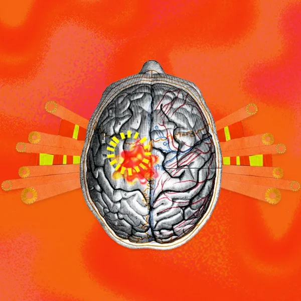 The world is getting hotter – this is what it is doing to our brains