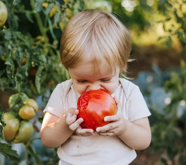 Don’t pressure them: Six science-backed ways to get fussy children to eat vegetables