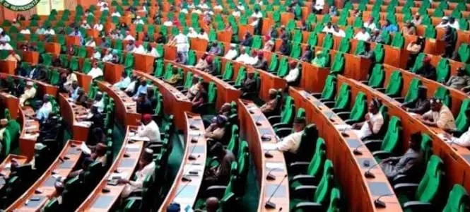 Illegal Mining Linked to Rising Insecurity and Money Laundering – Reps Committee