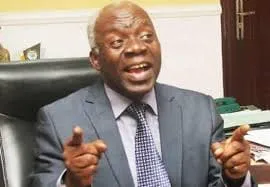 Falana Wants Nigeria, Ghana to Take South Africa to Human Rights Court