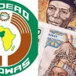 West African Leaders Set 2027 Target for ECO Single Currency