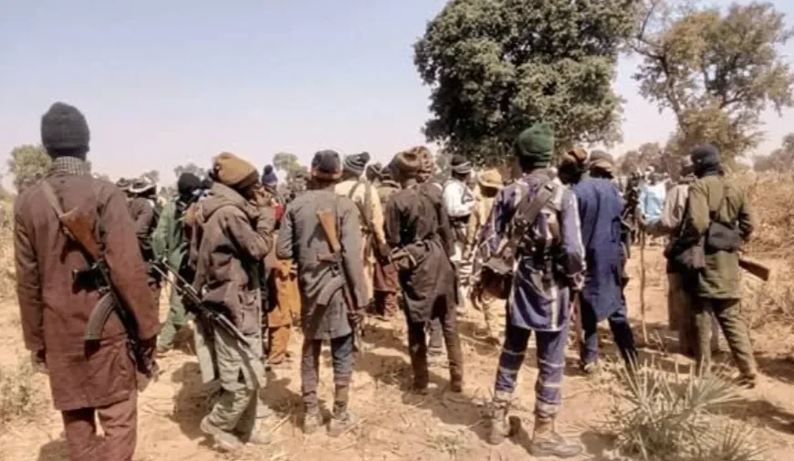Yoruba Leaders Demand Urgent Regional Action Against Insecurity