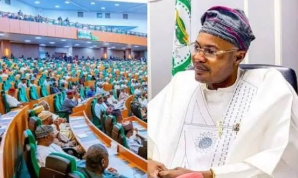 BREAKING: Reps Order Police to Produce Alleged Fake Agency Boss Within 48 Hours