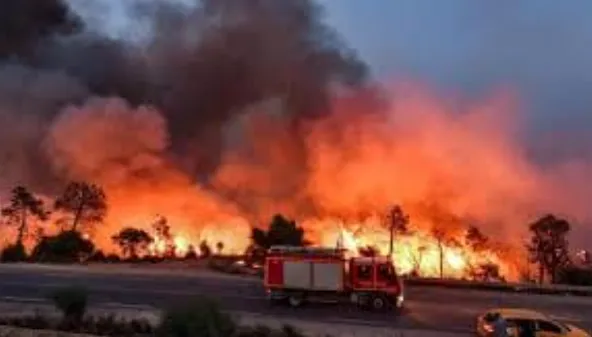 Rescuers Battle Deadly Fire at Algerian Orphanage as Death Toll Reaches 11