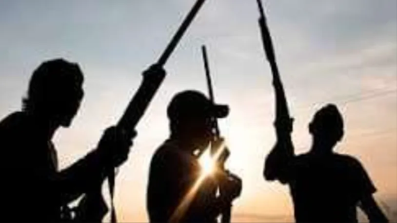 Gunmen Attack Plateau Community, Kill More Than 20 Residents