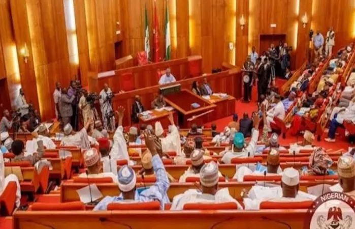 Northern Senators Renew Demand for State Police Amid Rising Insecurity