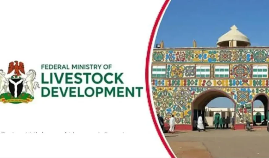 Livestock Ministry Laments Lack of Capital Funding Since 2024