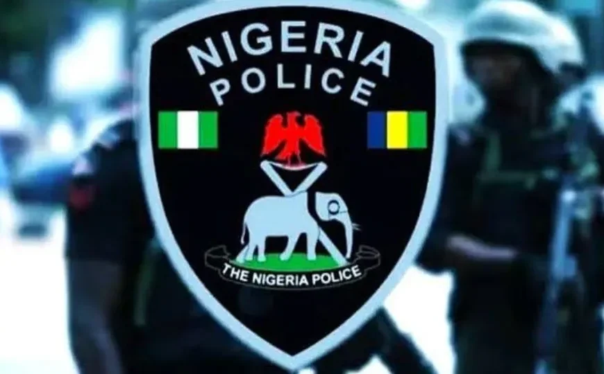 Osun Police Arrest Two Over ₦3m Burglary