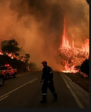 Wildfires Force Thousands to Flee as Flames Spread Across Europe