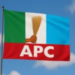 APC Did Not Authorise Petition Against Adeleke – Osun Legal Team