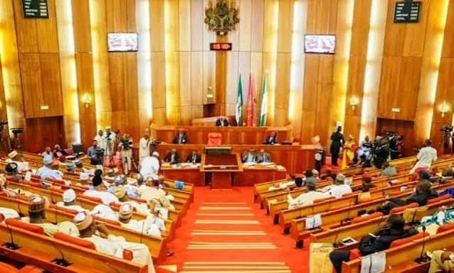 NASS Suspends Official Visits to South Africa Over Renewed Xenophobic Attacks