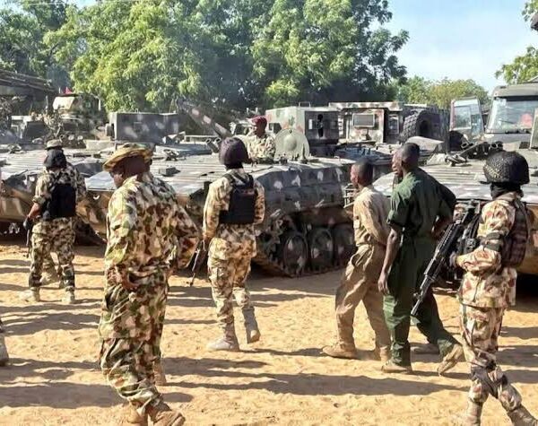 Troops Recover Large Herd of Rustled Cattle After Terrorists Flee Gun Battle in Sokoto