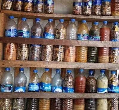 Ondo Herbal Poisoning: Death Toll Rises to 29 as Government Intensifies