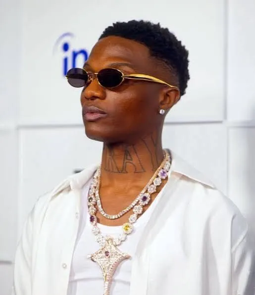 Wizkid Caps 15-Year Music Journey With Headline Performance at Afro Plus Fest