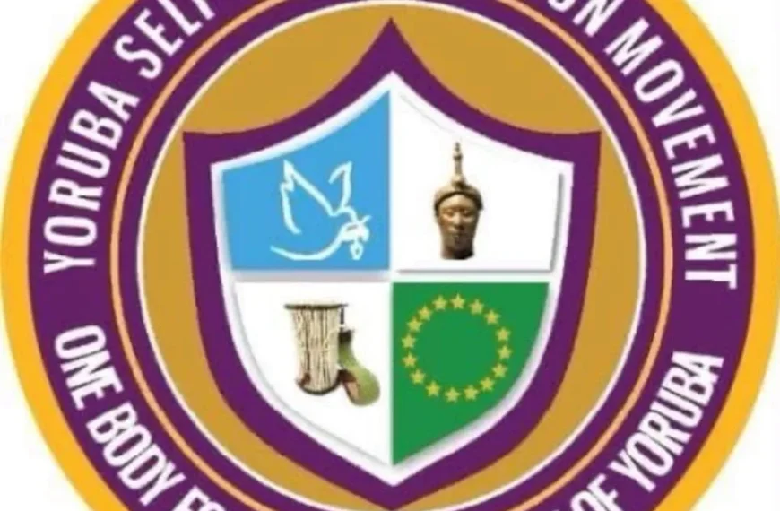 Prof Akintoye: Yoruba Nation Agitation Has Moved Beyond Restructuring, Regionalism