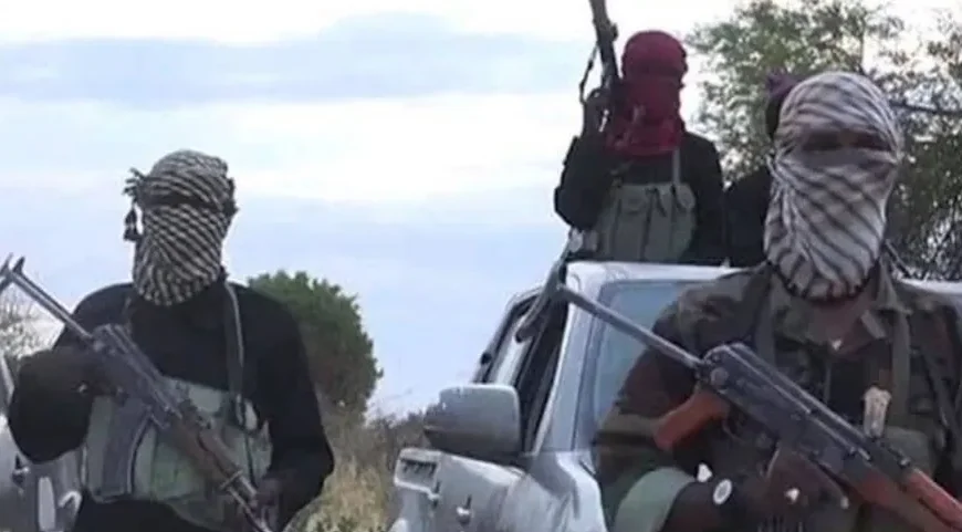 BREAKING: 11 Feared Killed as Terrorists Attack Adamawa Community