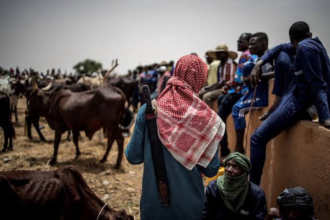 Kwara: Four Suspected Cattle Rustlers Killed, 35 Stolen Cows Recovered