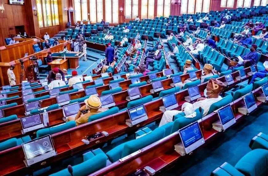 Nigeria @66: Yoruba Self-Determination Advocates Call for Sovereignty Talks with National Assembly