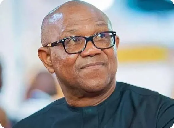 2027 Election: Lagos APC Warns Peter Obi Against Relying on 2023 Popularity